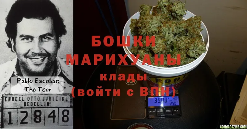 купить наркотик  Козельск  Шишки марихуана White Widow 